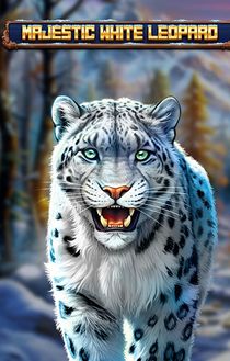 Majestic White Leopard